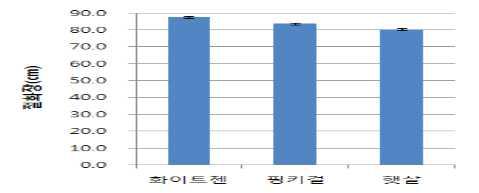 스프레이품종 절화장