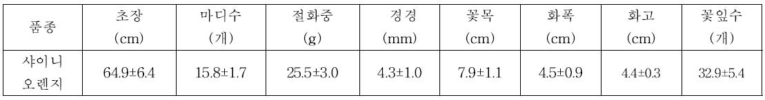 경남 김해 농가(K)의 절화생육특성 (2013)
