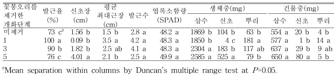 꽃봉오리 제거 여부에 따른 장미 ‘러브레터’의 생육