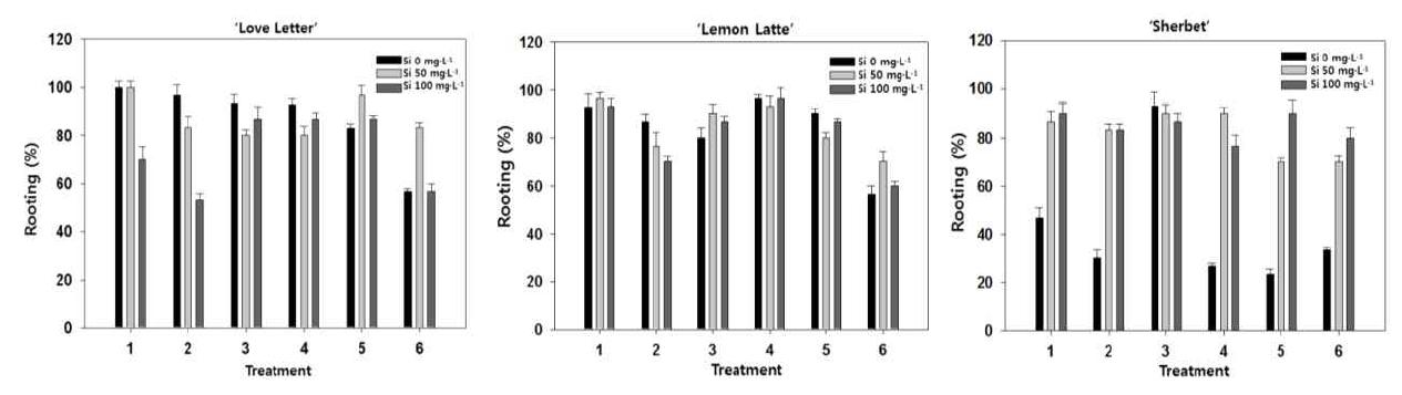 규산질 비료 시용에 따른 장미 삽목묘 ‘러브레터’, ‘샤벳’, 그리고 ‘레몬라떼’의 발근율