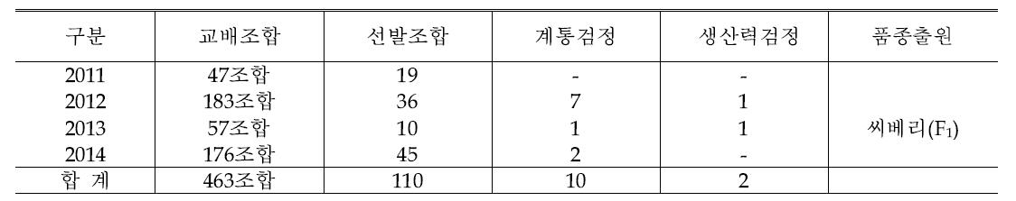 근교계통간 교잡에 의한 품종육성을 위한 선발 내용