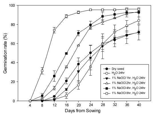 1% NaOCl 처리 시간(1, 2, 4, 8hr)별 발아율