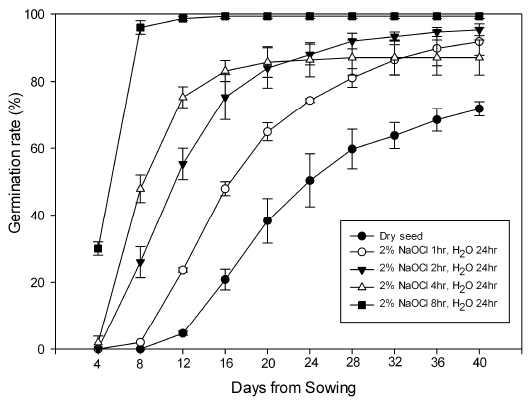 2% NaOCl 처리 시간(1, 2, 4, 8hr)별 발아율
