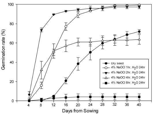 4% NaOCl 처리 시간(1, 2, 4, 8hr)별 발아율