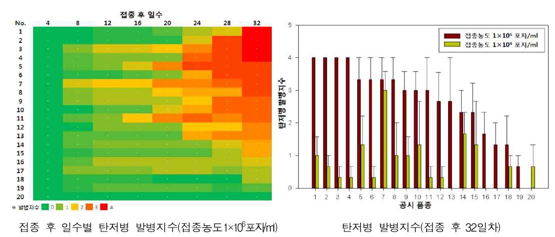 딸기 주요 유전자원 탄저병 저항성 검정 결과