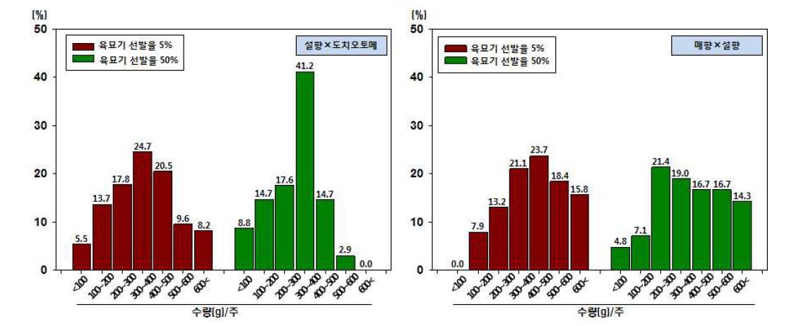 육묘기 실생 선발 강도에 따른 수량별 개체 분포 비율