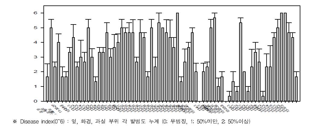 공시 계통의 흰가루병 발병도