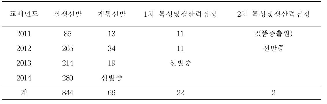 연차별 계통선발 내력