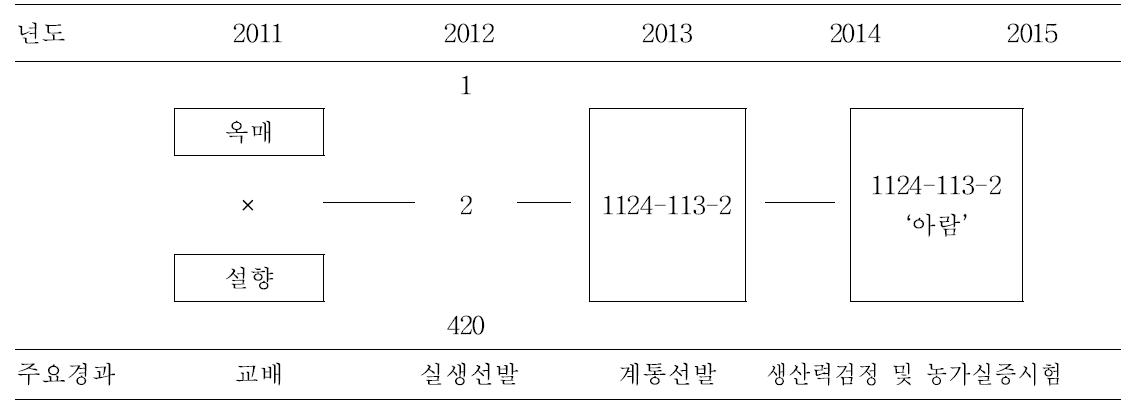 ‘아람’의 육성 계통도