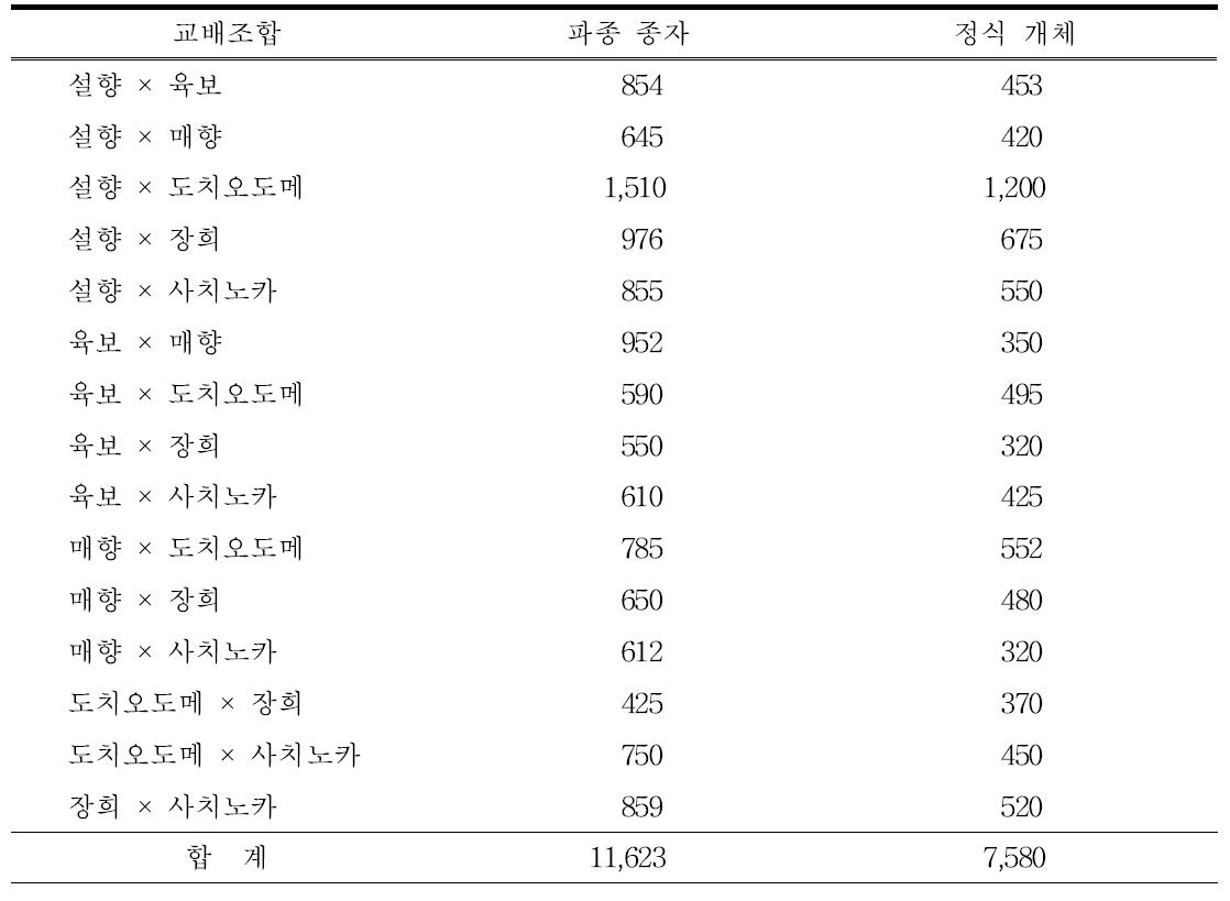 각 조합별 파종 및 정식개체