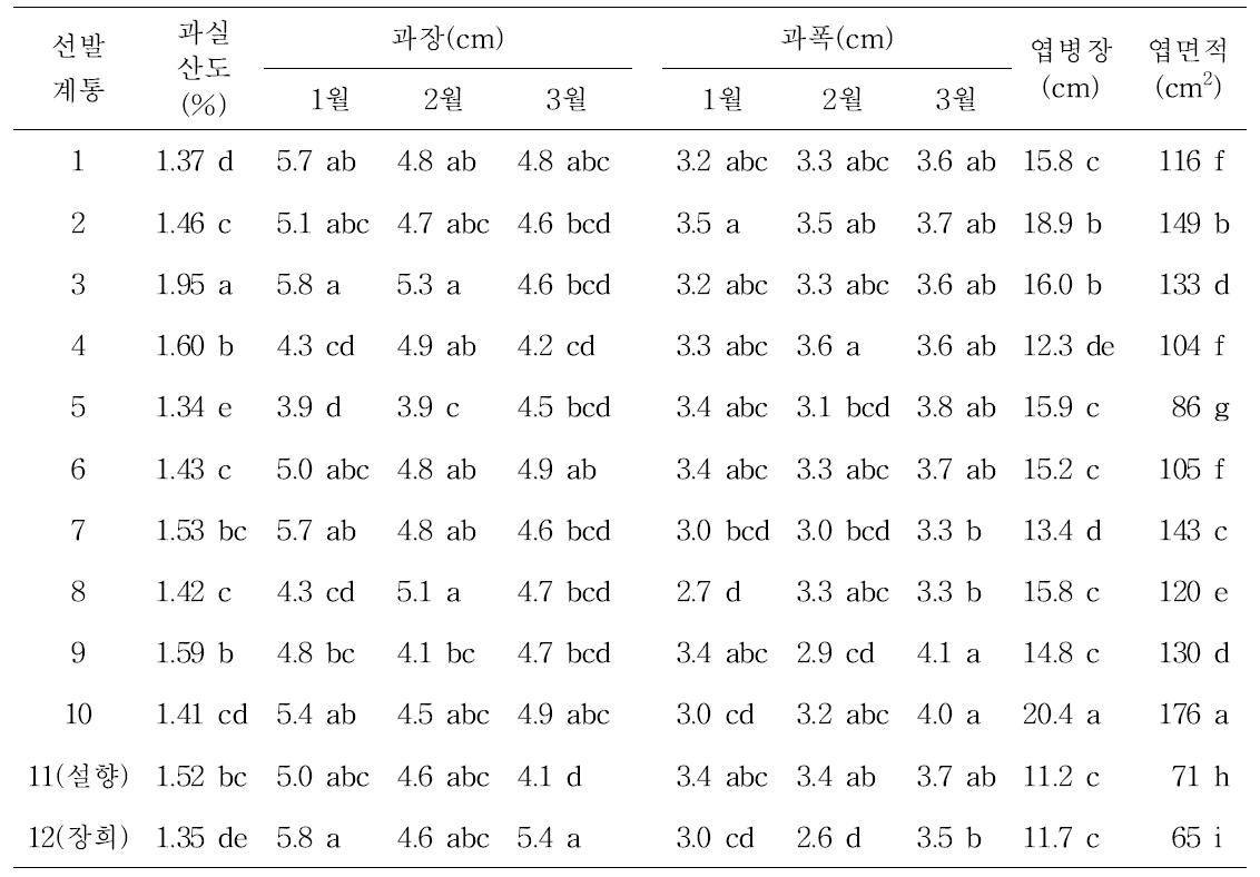 선발계통의 과장, 과폭, 엽병장, 엽면적 비교