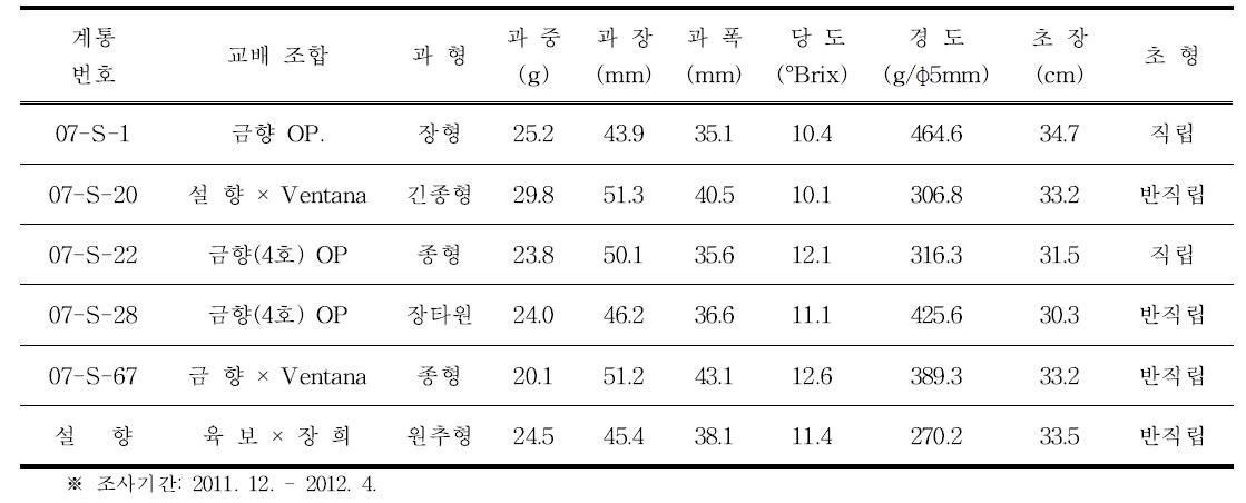 2007년 교배후대 선발계통 특성