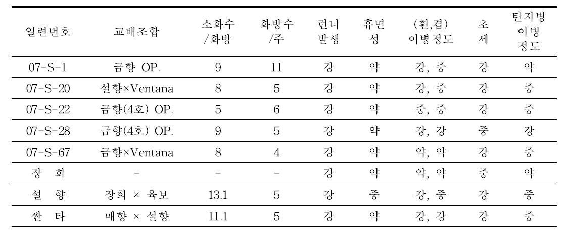 ’07년 교배후대 선발계통 특성