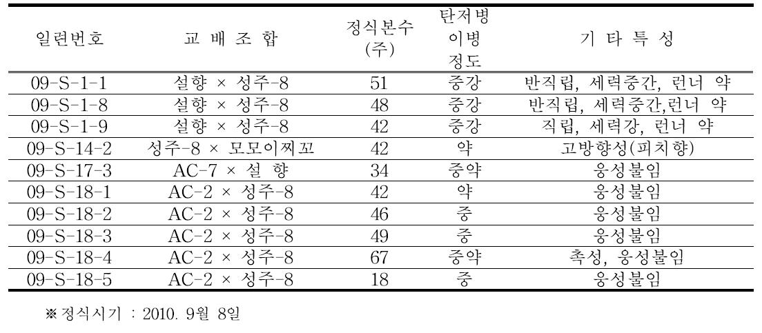 ‘09년 교배후대 선발계통 생육특성 및 과실특성