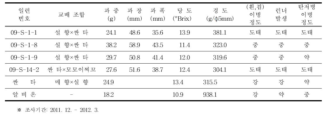 ‘09년 교배후대 선발계통 과실특성