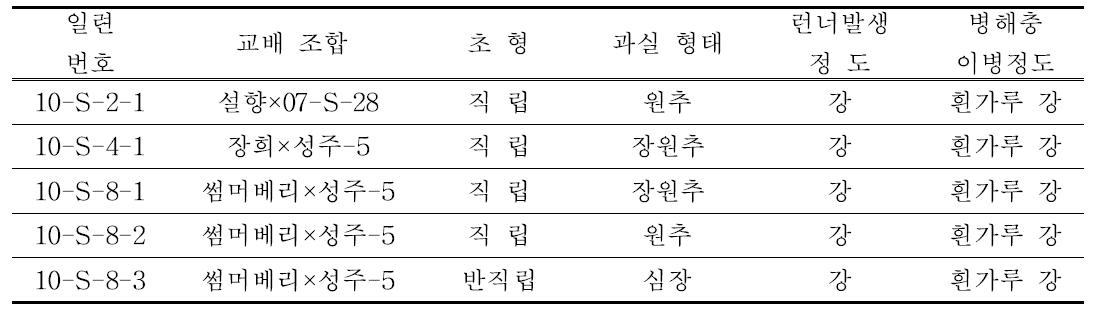 ’10년도 교배후대 선발계통 특성