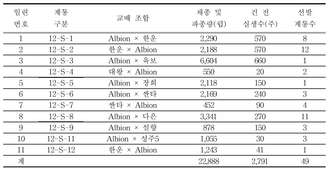 2012년 교배 후대 실생 선발계통