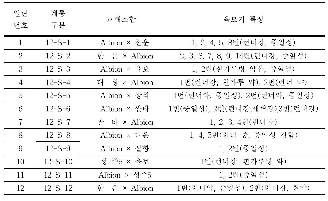 2012년 교배 후대 선발계통 육묘기 특성