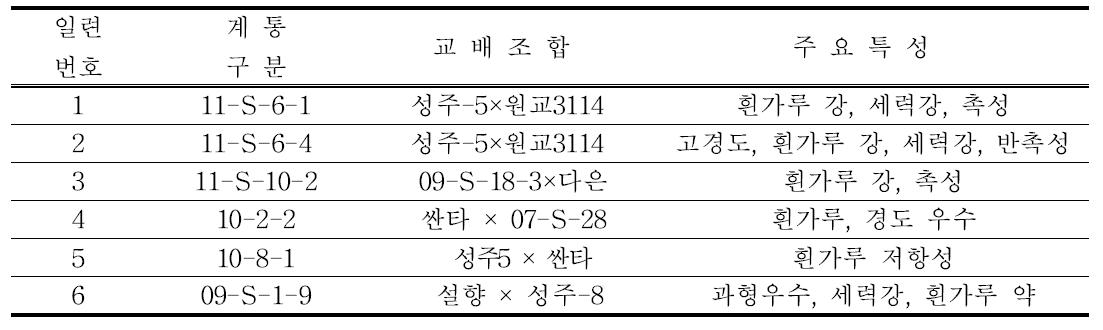 우수 선발계통 특성