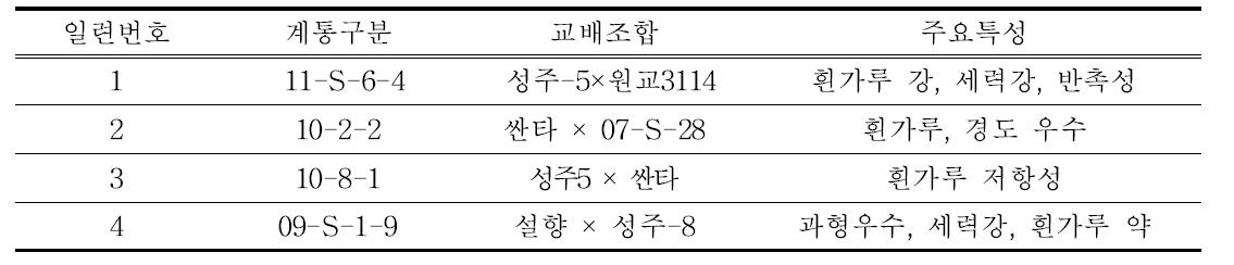 기존 선발계통 현황