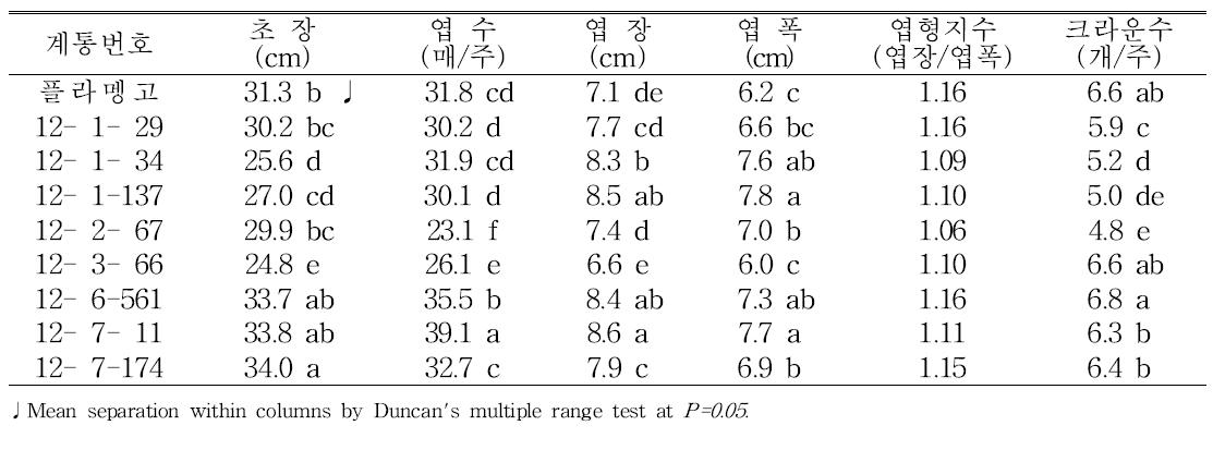 특성검정 계통의 고랭지재배시 최종 생육특성