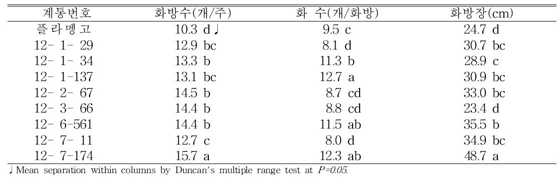특성검정 계통의 고랭지재배시 화방특성