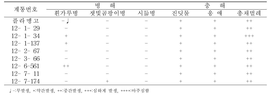 특성검정 계통의 고랭지재배시 병해충 특성