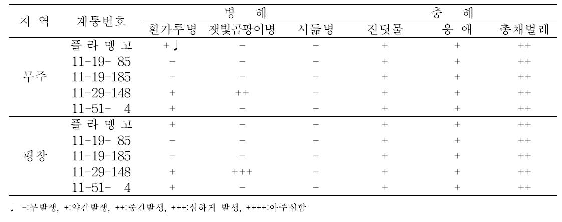 지역적응성검정 계통의 고랭지재배시 지역별 병해충 특성