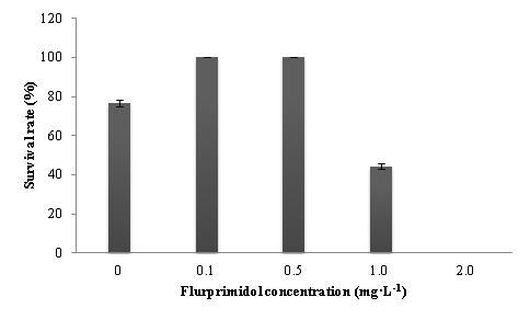 Flurprimidol의 처리농도에 따른 순화 생존율
