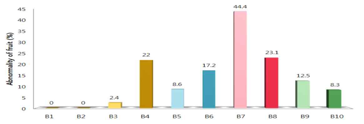 딸기 ‘고하’의 BA 처리 농도에 따른 비정상과 출현 비율