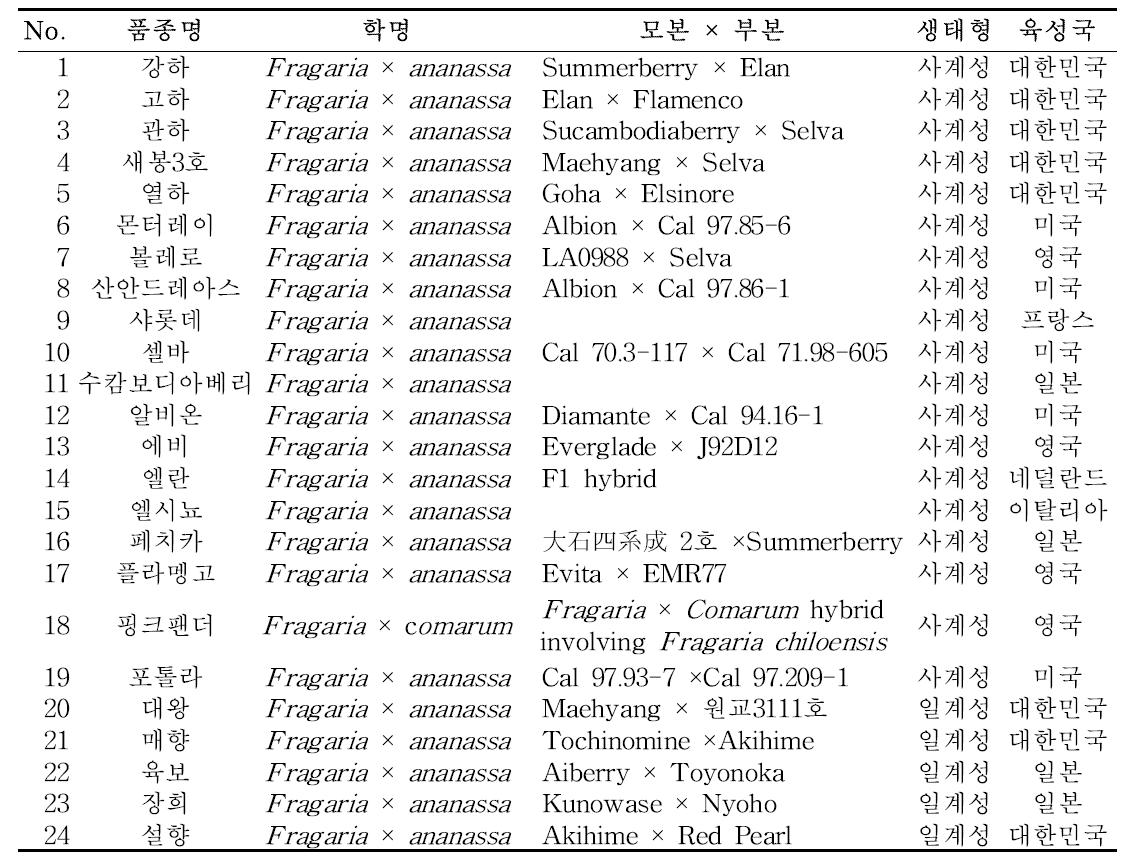 국내외 육성 사계성, 중일성 및 일계성 딸기품종 리스트