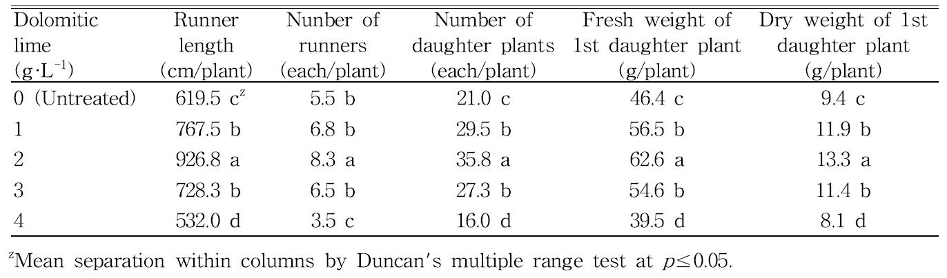 Influence of the various application rates of dolomitic lime in peatmoss+pine bark (5:5, v/v) medium as pre-planting nutrient charge fertilizer on the growth and occurrence of daughter plants 140 days after treatment in vegetative propagation of ‘Seolhyang’ strawberry.