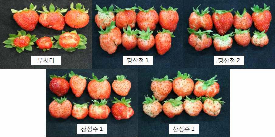 Fruit quality as influenced by iron sulfate or acidic solution treatment for reducing of physiological disorder during the summer season cultivation of ‘Charlotte’ strawberry.