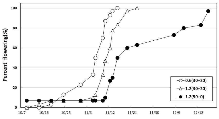 육묘기의 비료 농도가 ‘설향’ 딸기의 개화율에 미치는 영향(2013)