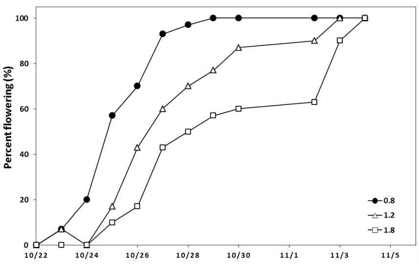 딸기 ‘설향’ 품종의 정식후 비료농도에 따른 개화율의 차이(2014)