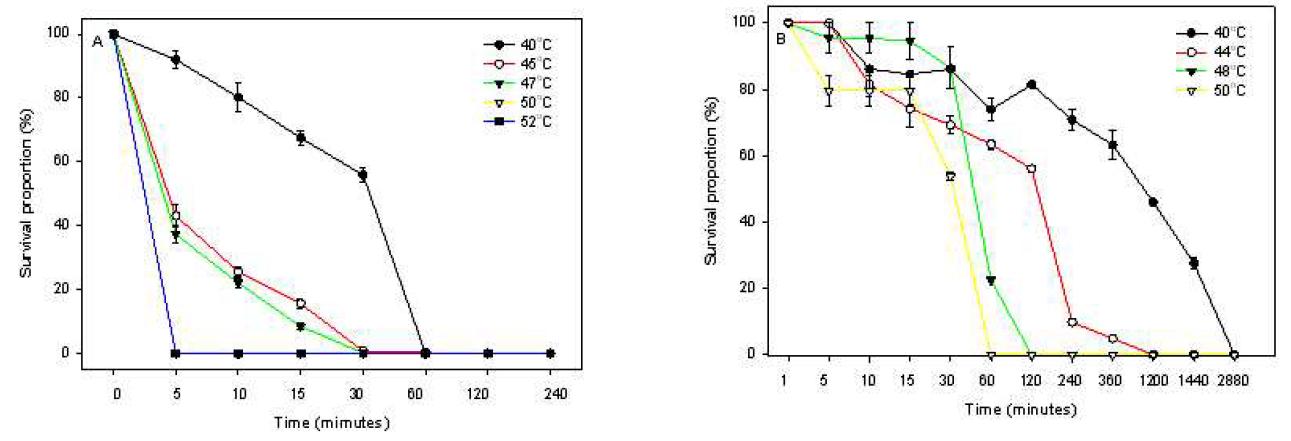 처리온도와 시간에 따른 딸기 탄저병균 포자(A)와 균사(B)의 생존율