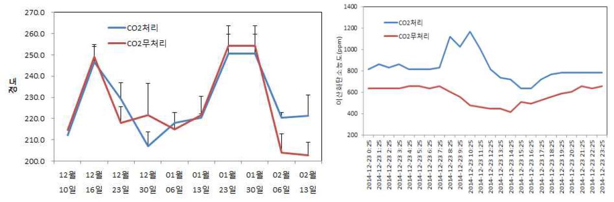 이산화탄소와 무처리간 경도 및 시간대별 이산화탄소 농도