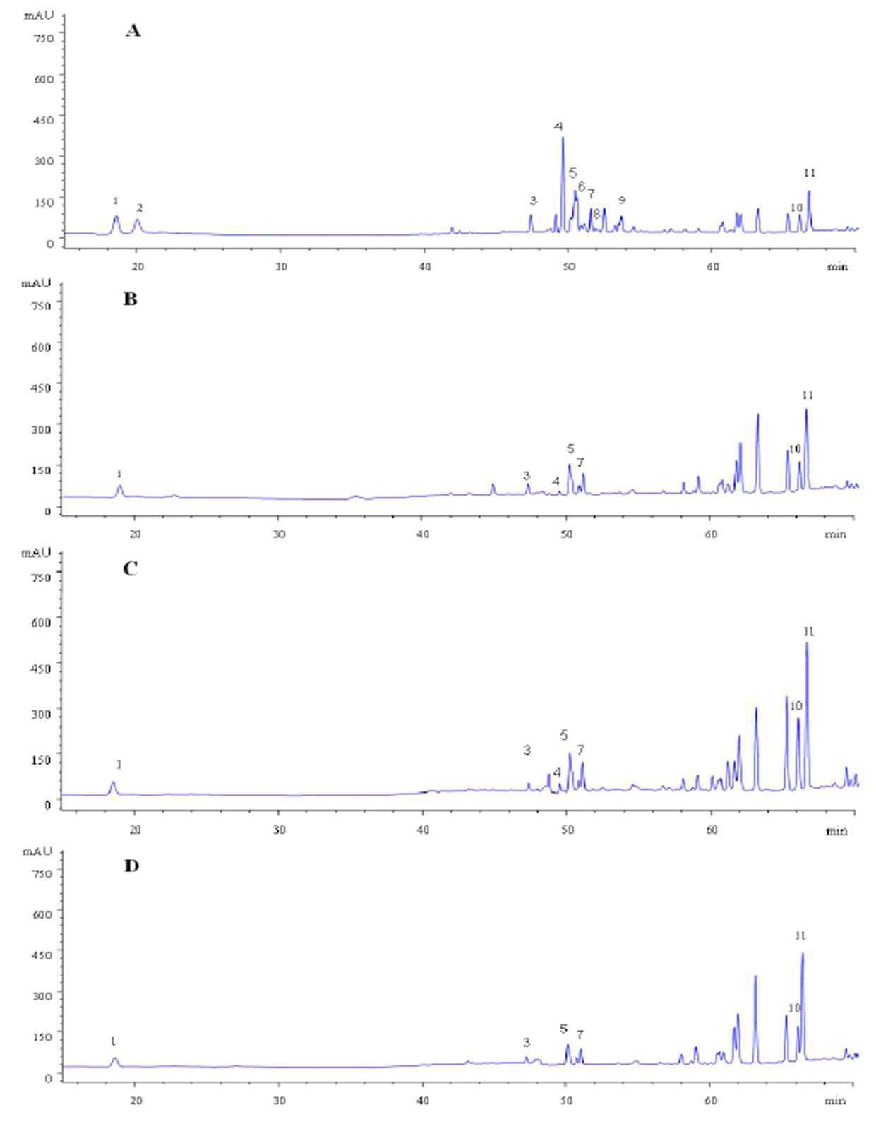 HPLC-UV chromatograms of total ginsenosides extracted from ginseng steamed 2 times at 120℃ in various times (15, 30, 45, and 60 min). Before steaming each time, ginsengs were soaked in grape juice for 24 h.