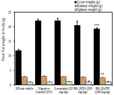 Organ weight in body