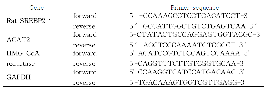 Rat Probe & Oligonucleotide의 염기배열은 다음과 같다.