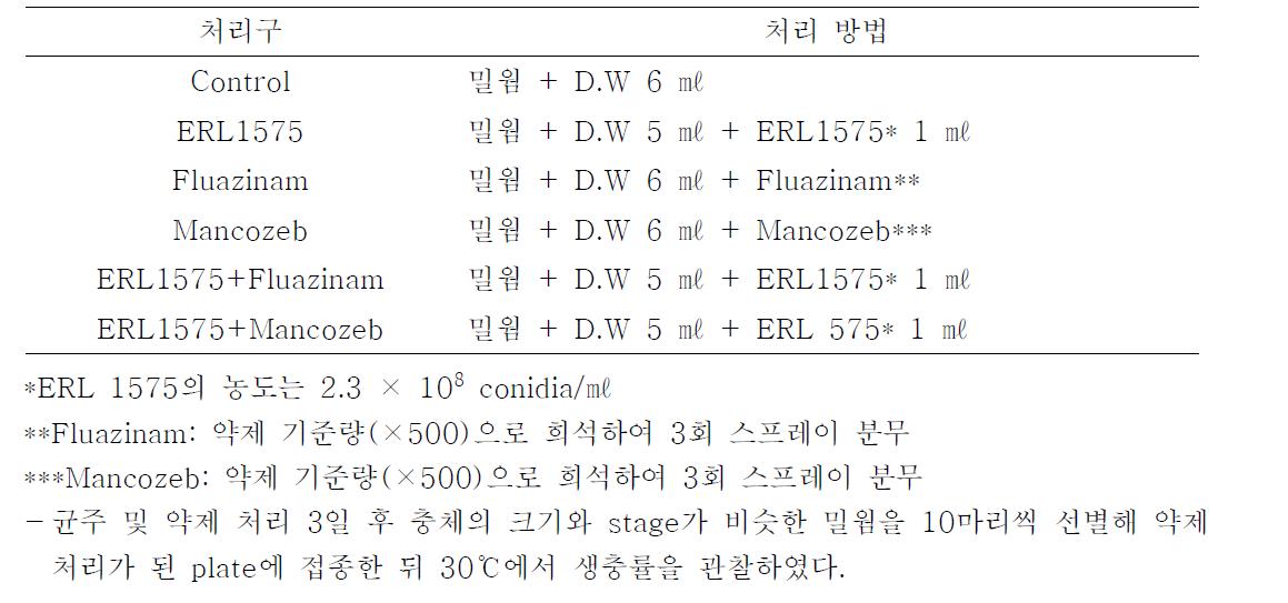 균주 및 약제 처리 기준표