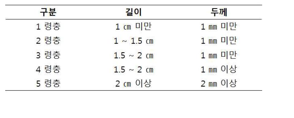 밀웜의 령충별 충체 길이 및 두께 기준표