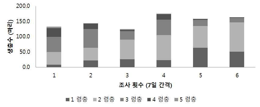 7일 간격으로 산란을 받은 령충별 마리 수