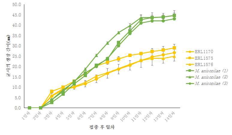 진균이 배양된 agar block을 1/4 SDA배지에 다시 25℃ 조건에서 배양 후 자라는균사의 일차별 반지름 측정 길이