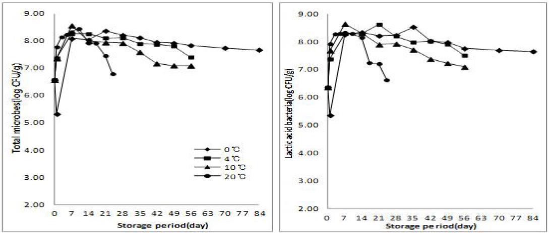 Effect of various storage temperature and periods in the total microbes and lactic acid bacteria of summer salted-Kimchi cabbage