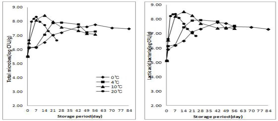 Effect of various storage temperature and periods in the total microbes and lactic acid bacteria of autumn salted-Kimchi cabbage