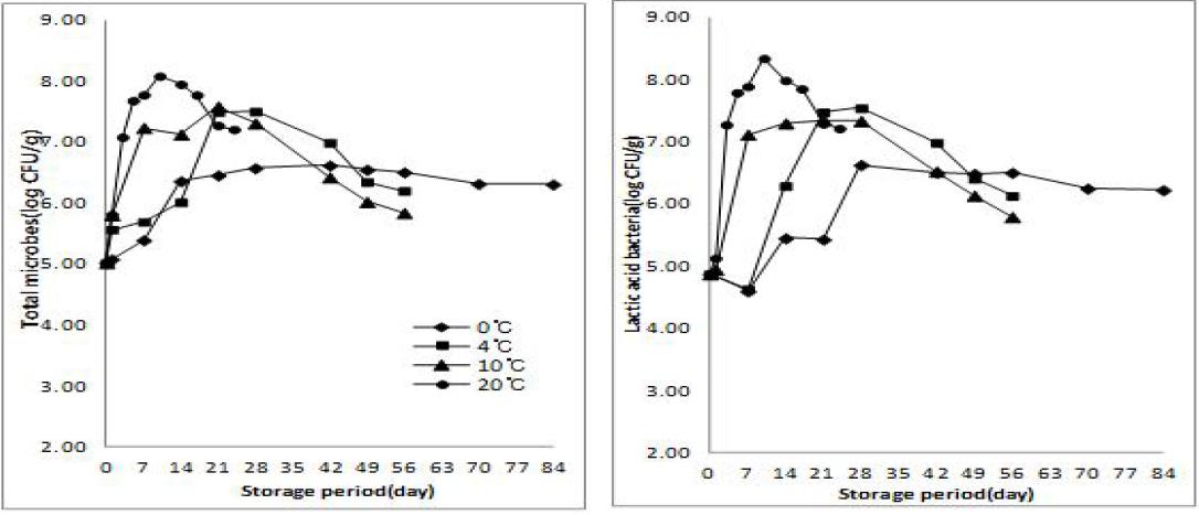 Effect of various storage temperature and periods in the total microbes and lactic acid bacteria of autumn salted-Kimchi cabbage(Geosan)