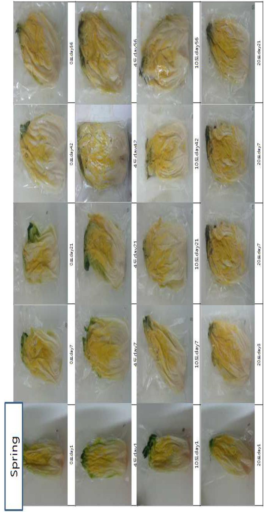 Appearance change of packaged salted spring Kimchi cabbage according to storage temperature and period