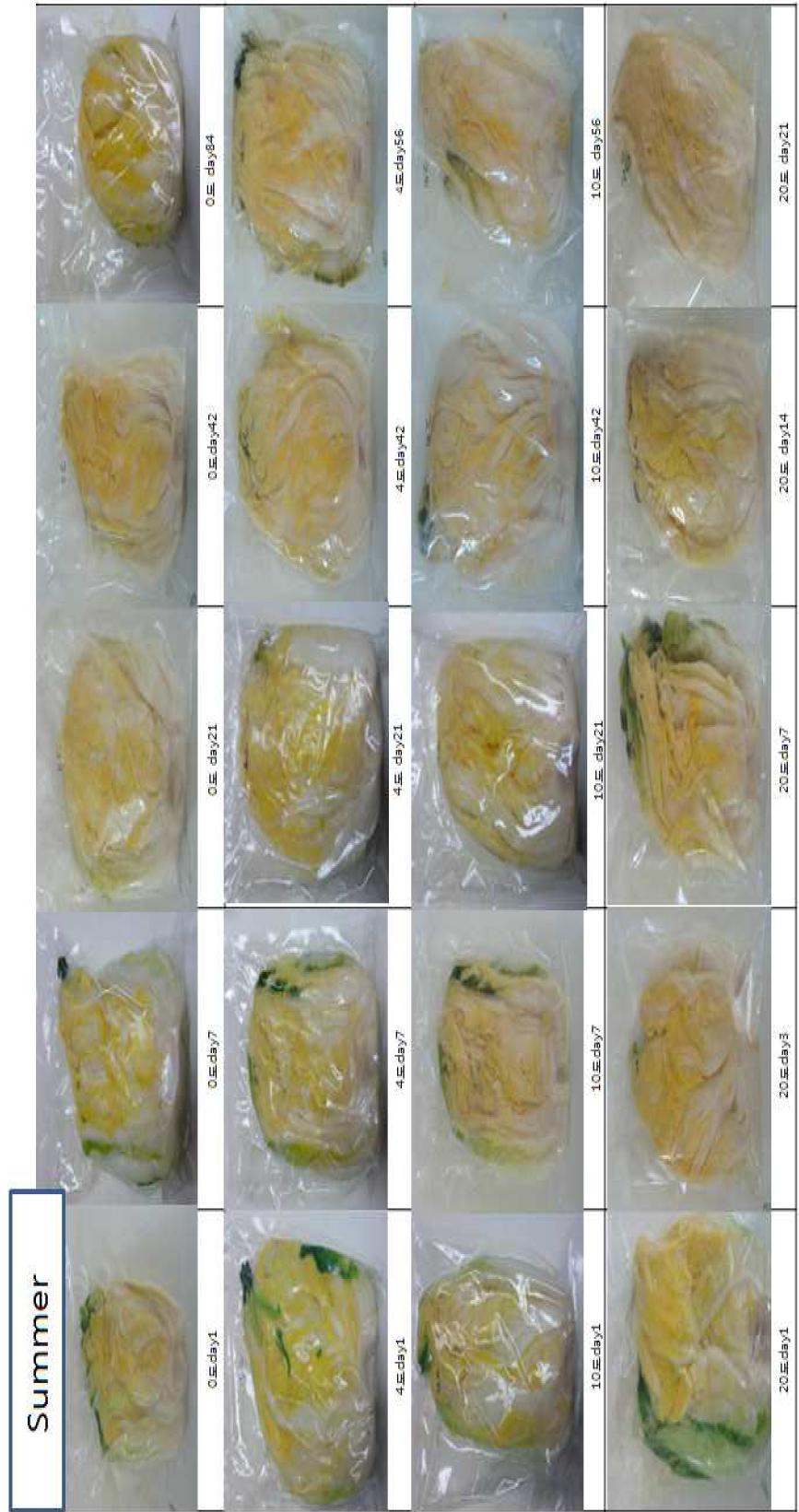 Appearance change of packaged salted summer Kimchi cabbage according to storage temperature and period