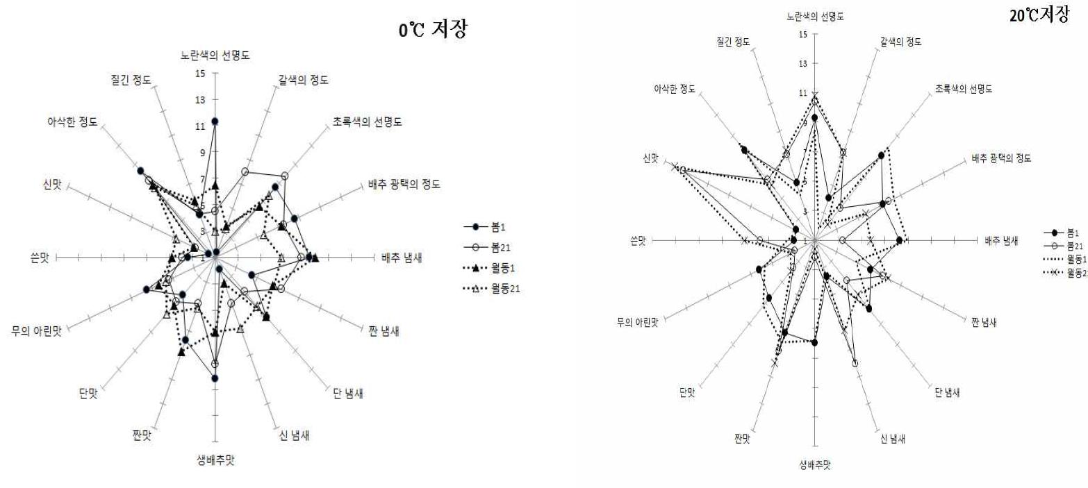 Quantitative descriptive analysis of winter and spring salted Kimchi cabbage at 0℃ and 20℃